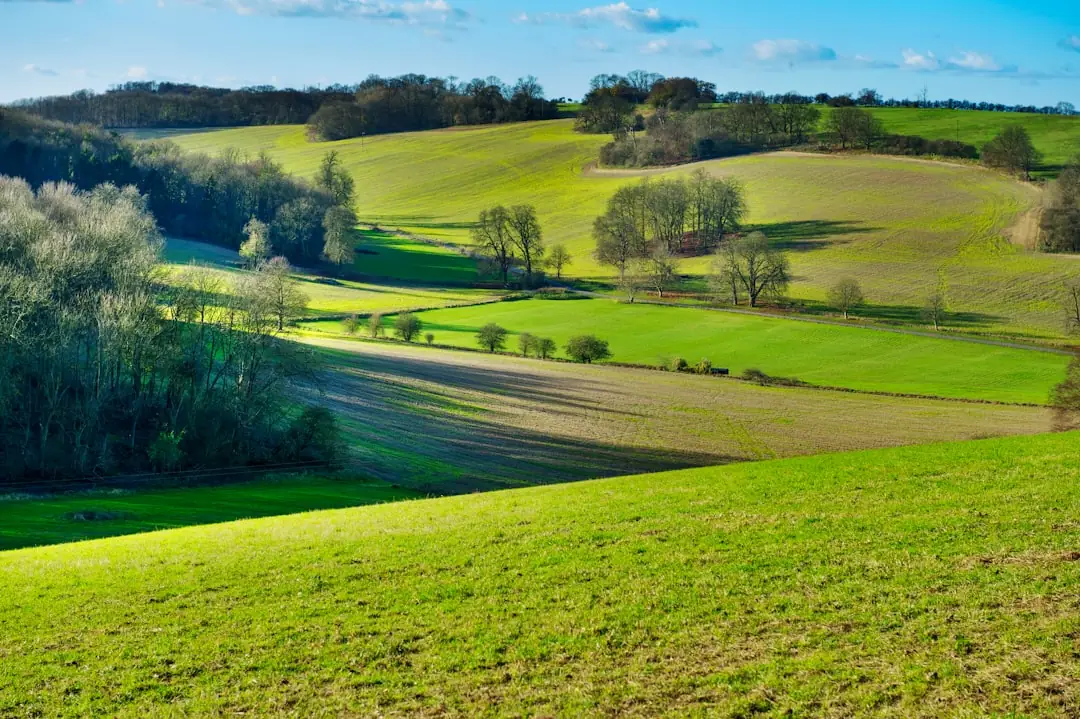 Conservation Easement Income Tax Benefits: What to Know